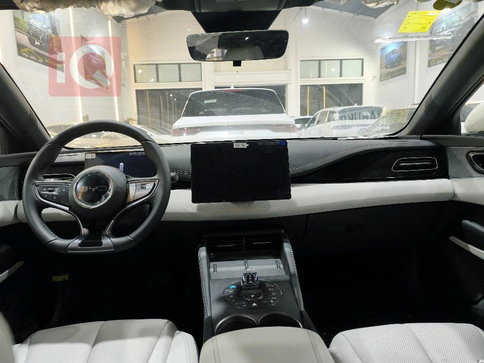 بي واي دي سيل 06 DM-i